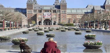 Amsterdam Shore Excursion: Private City Highlights Walking Tour