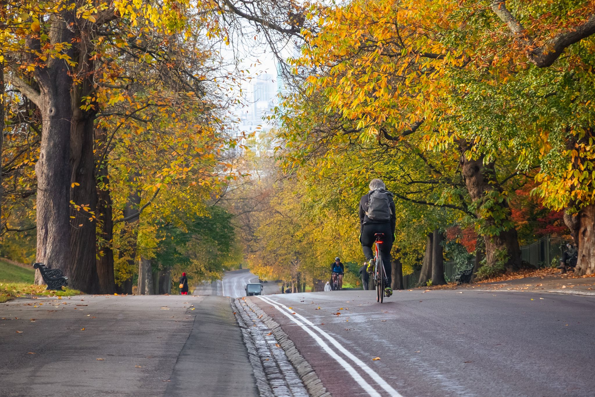 Cyclists riding on a tree lined road in Greenwich Park during autumn season.