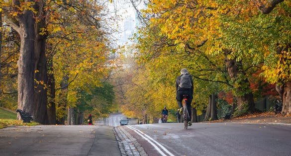 Cyclists riding on a tree lined road in Greenwich Park during autumn season.