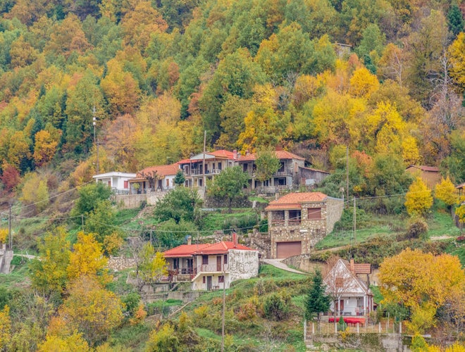 shutterstock_2278754059 (1).jpg