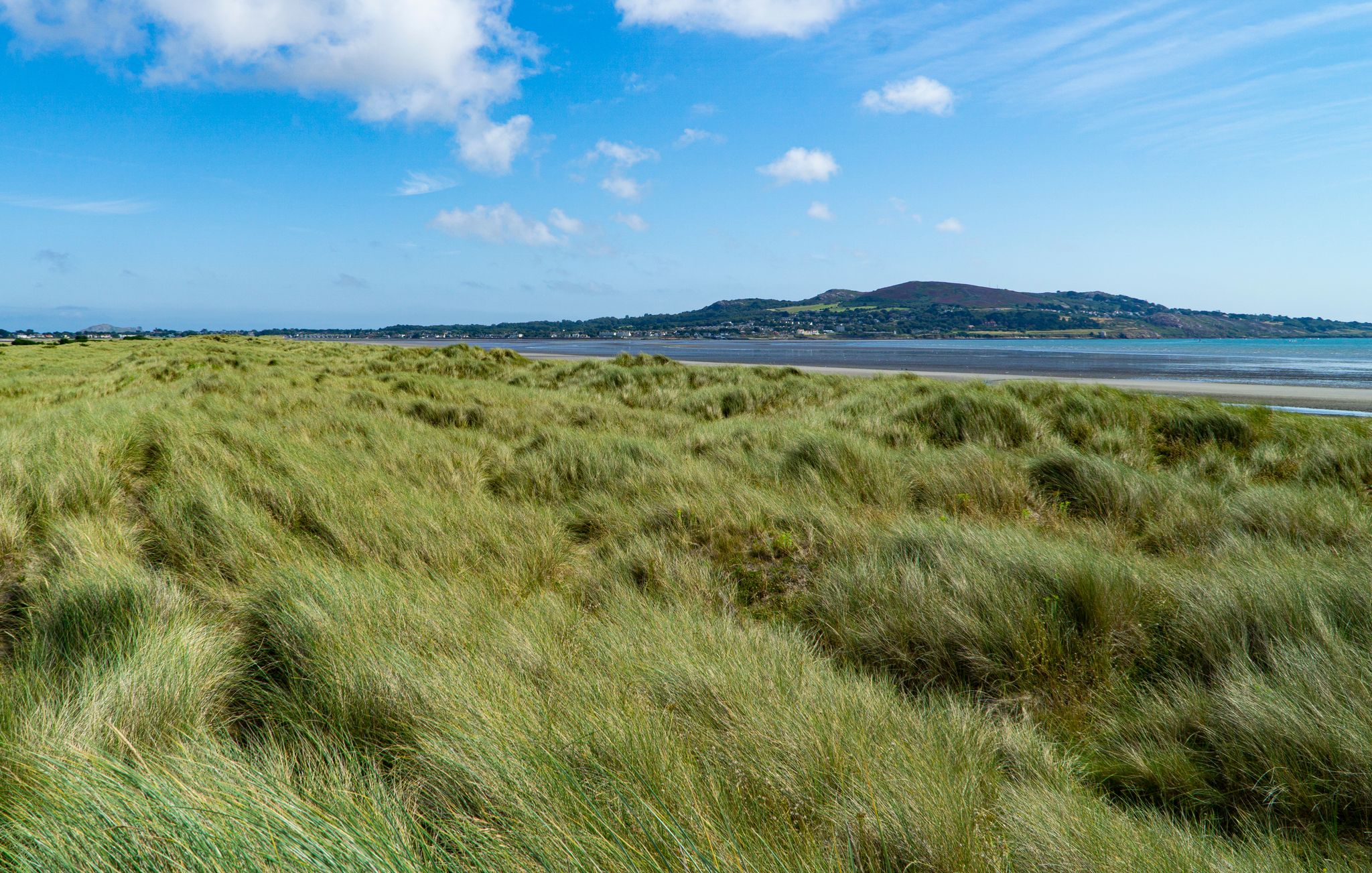 photo of North Bull Island Nature Reserve , Dublin Ireland .