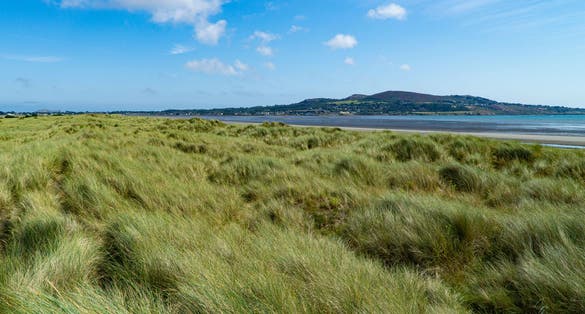 photo of North Bull Island Nature Reserve , Dublin Ireland .