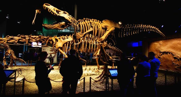 Photo of Heureka a science center with daily activities, 2 temporary exhibition areas, a park and a digital planetarium, Helsinki, Finland.