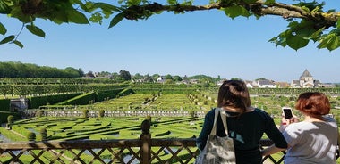 Loire Valley from Tours : Azay-le-Rideau, Villandry, 2 Wineries