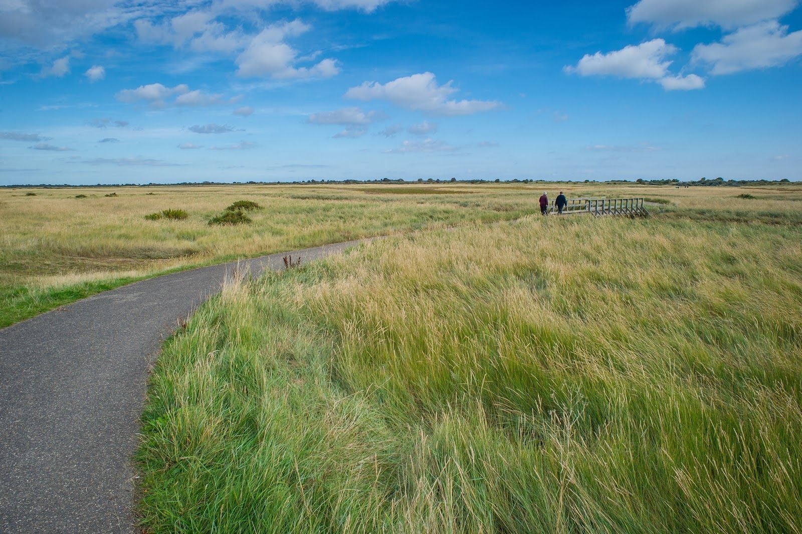 Gibraltar Point National Nature Reserve, Croft, East Lindsey, Lincolnshire, East Midlands, England, United Kingdom