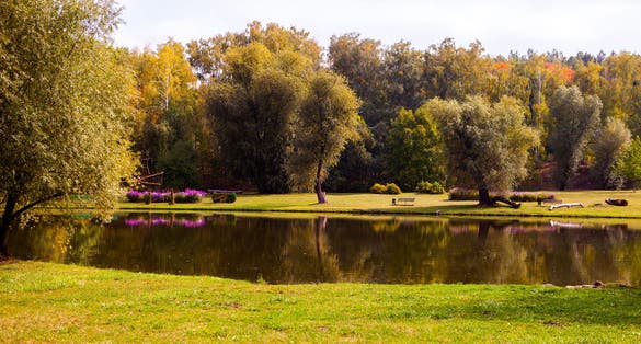Photo of beautiful city park in Chisinau, Moldova. Botanical Garden in autumn.