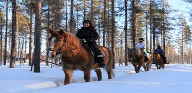 Levi: Snowy Forest Ride and Polar Lights Tours