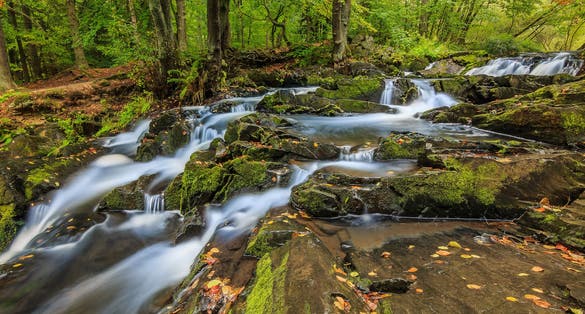 Selke waterfall near the town of Stolberg. River with moss-covered rocks and stones. Deciduous trees on the riverside. Yellow leaves on the water surface