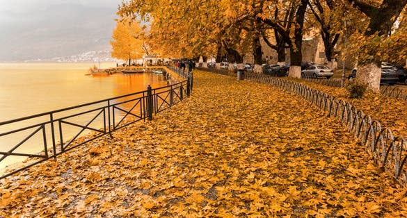 Photo of autumn colors in Ioannina city ,Epirus, Greece.