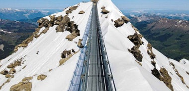 Geneva: Glacier 3000 Tour with Alpine Coaster & Glacier Walk