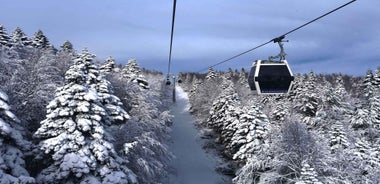 From Istanbul: Bursa and Mt. Uludağ Full-Day Tour