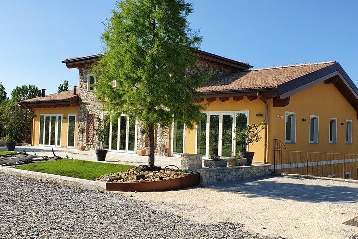 Private Visit to Acetaia with Tasting