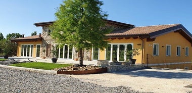 Private Visit to Acetaia with Tasting