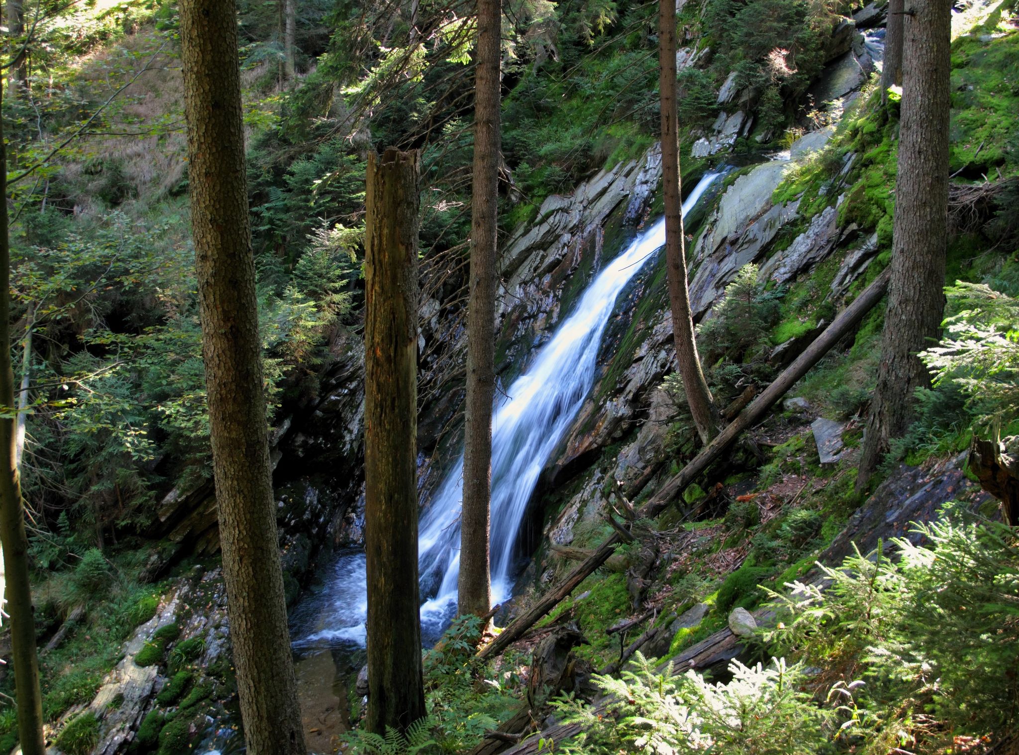Photo of waterfall Bila Strz in Sumava national park in Czech republic.
