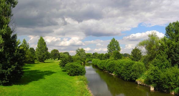 Photo of Polanská niva Nature preserve in Ostrava, Czechia.