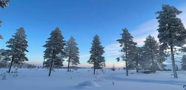 Arvidsjaur: 2-hour snowmobile tour in Swedish Lapland
