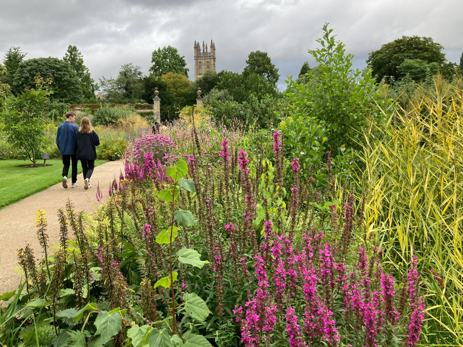 Path in the Oxford Botanical Garden.jpg