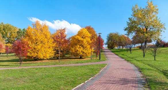 Cloudy autumn day in a park in Sosnowiec, Poland