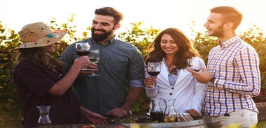 Chablis & Northern Burgundy Wine Tour