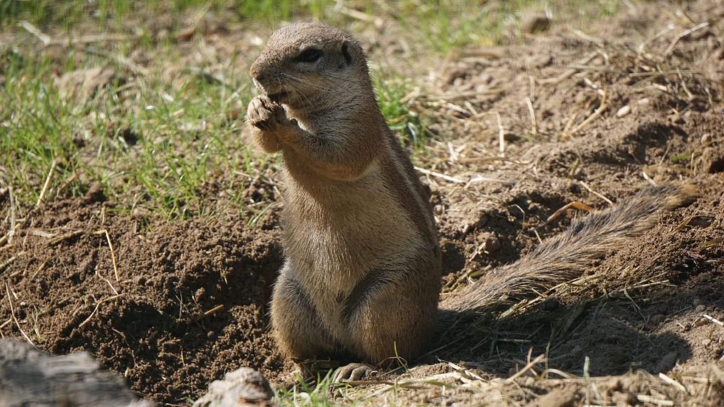 ZOO BRAUNSCHWEIG "Noah's Ark" Uwe Wilhelm GmbH, Stöckheim- Leiferde, Brunswick, Lower Saxony, Germany