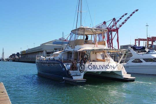 2 Hours Private Catamaran Tour in Lisbon