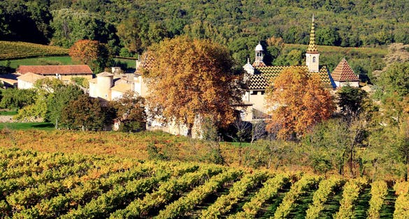 photo of view of The Chartreuse de la Valbonne surrounded by vineyards. Gard. Occitanie. la France.