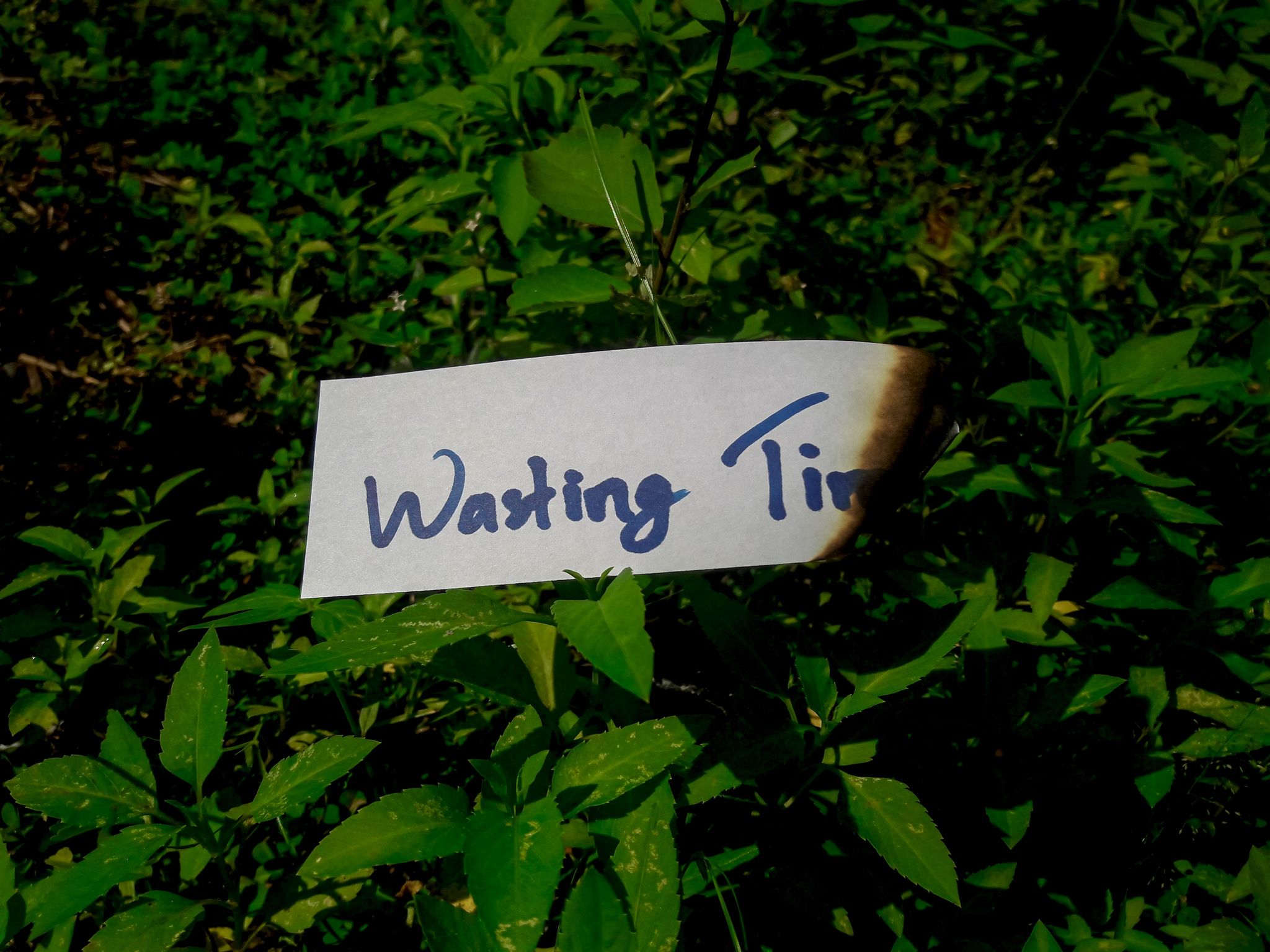photo ofthe words wasting time on burning paper on green grass.