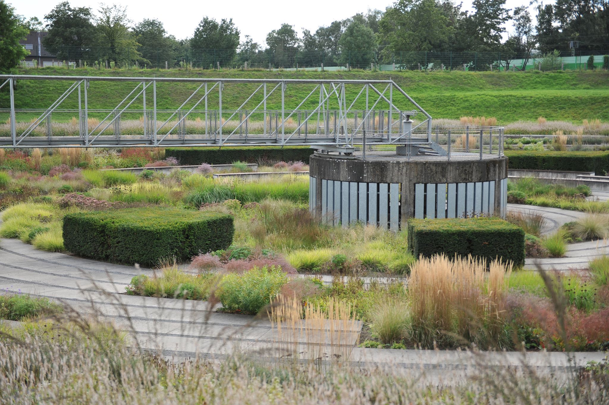 photo of view of BOTTROP, GERMANY - 21 AUGUST 2021: Planting in perennial meadow style designed by Piet Oudolf in the public Berne Park