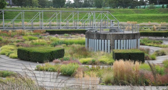 photo of view of BOTTROP, GERMANY - 21 AUGUST 2021: Planting in perennial meadow style designed by Piet Oudolf in the public Berne Park