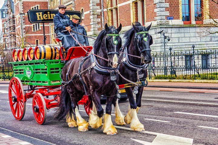 Private Tour Guide Amsterdam with a Local: Kickstart your Trip, Personalized