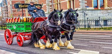 Private Tour Guide Amsterdam with a Local: Kickstart your Trip, Personalized