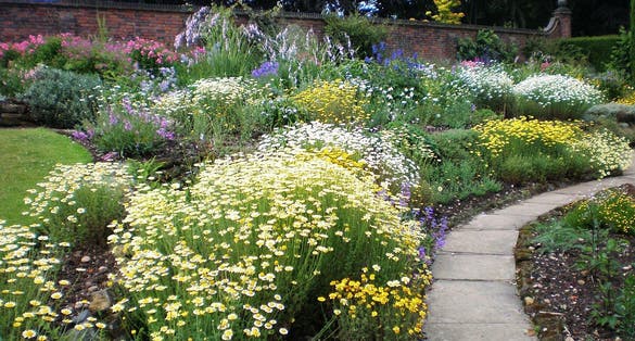 Photo of Winterbourne Botanic Garden is a heritage site and botanic garden, Birmingham, England.