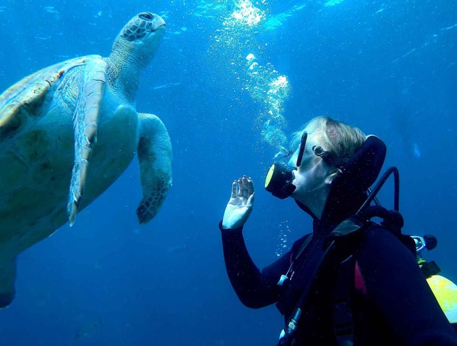 A scuba diver waves at a sea turtle while swimming underwater, with bubbles rising in the clear blue ocean..jpg