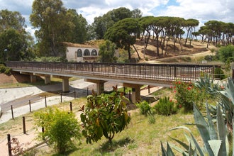 Spring in Park Moret, one of the largest urban parks in Andalusia is a treasure of 72.5 hectares forming the green lung of the city of Huelva, Spain