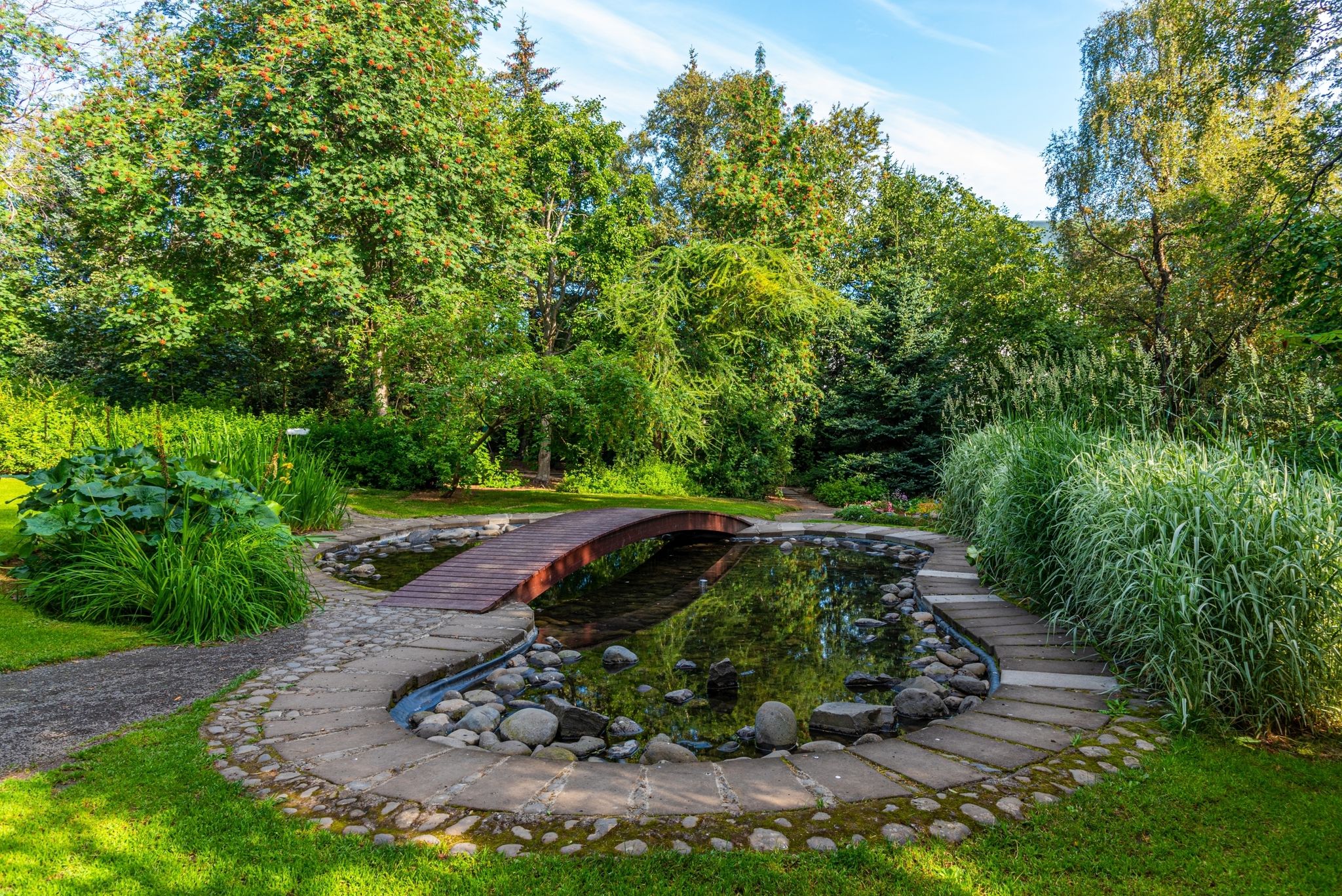 photo of View of the botanical garden at Akureyri, Iceland.