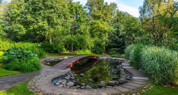 photo of View of the botanical garden at Akureyri, Iceland.