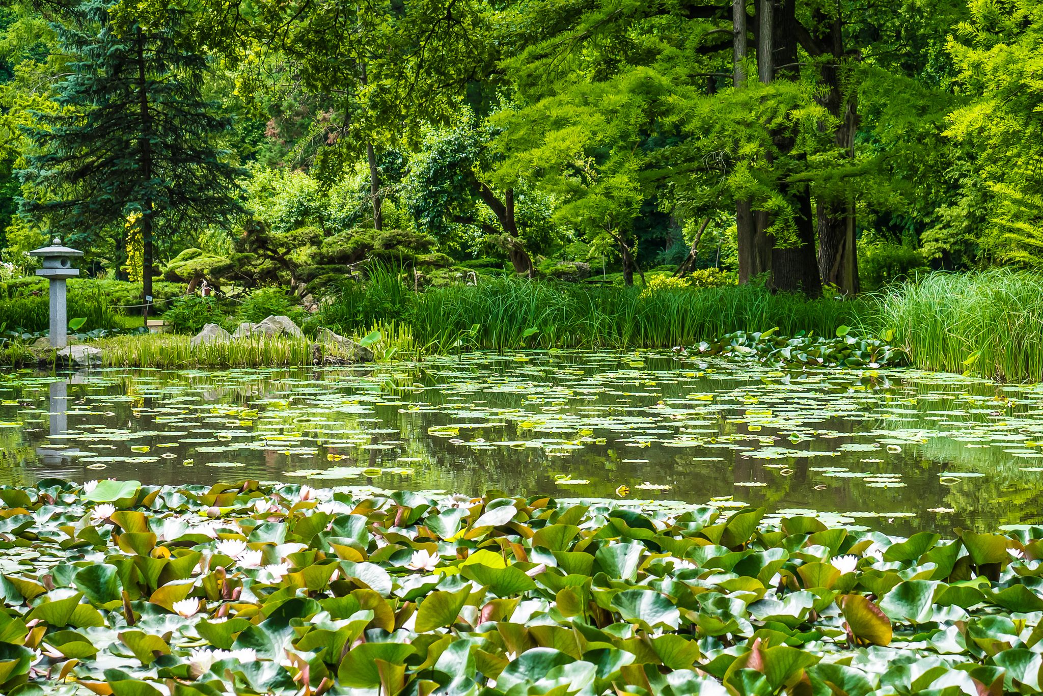 photo of view of Park in Szeged, Hungary.