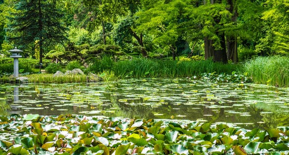 photo of view of Park in Szeged, Hungary.