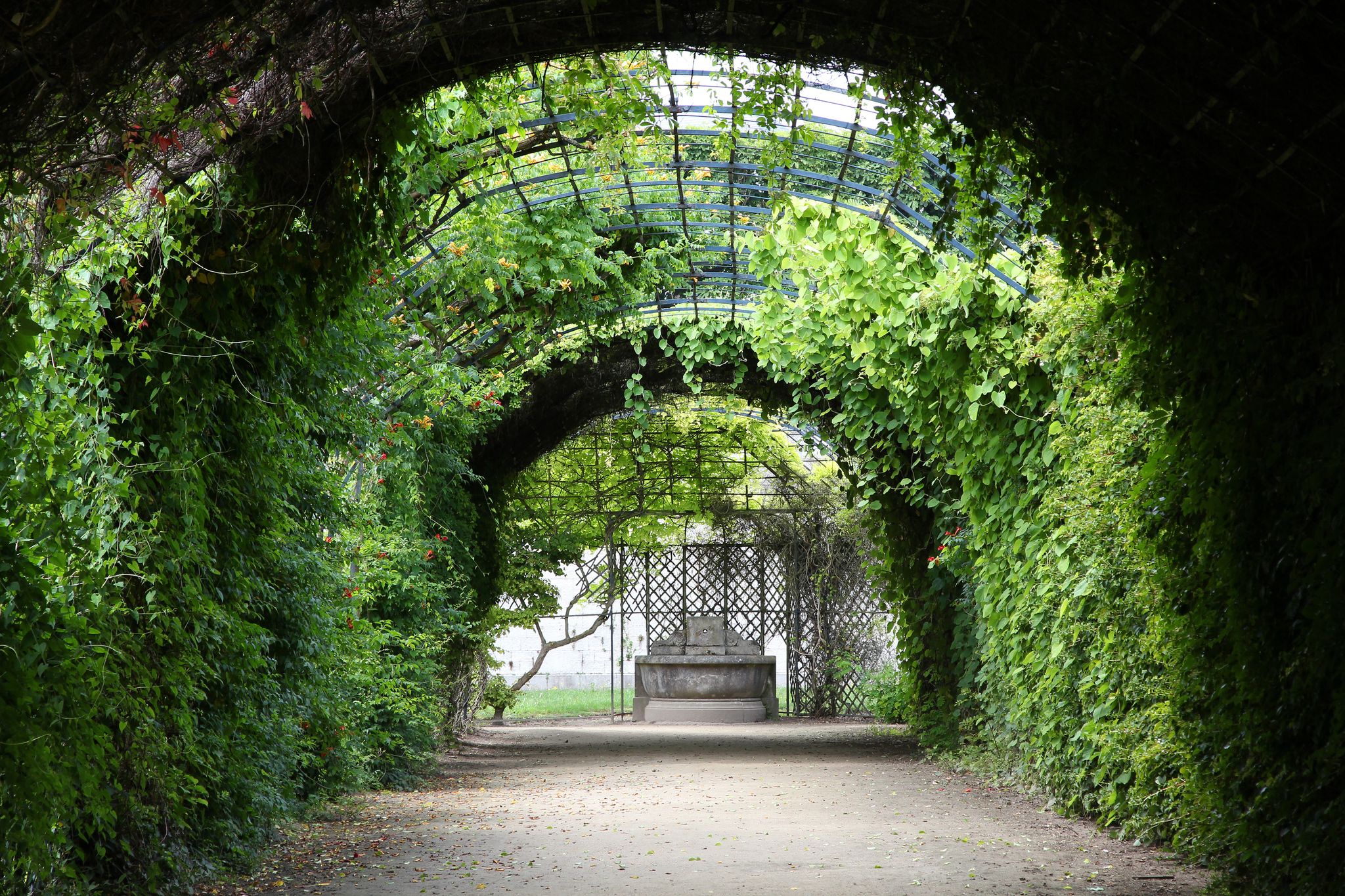 Photo of castle gardens, Compiegne France.
