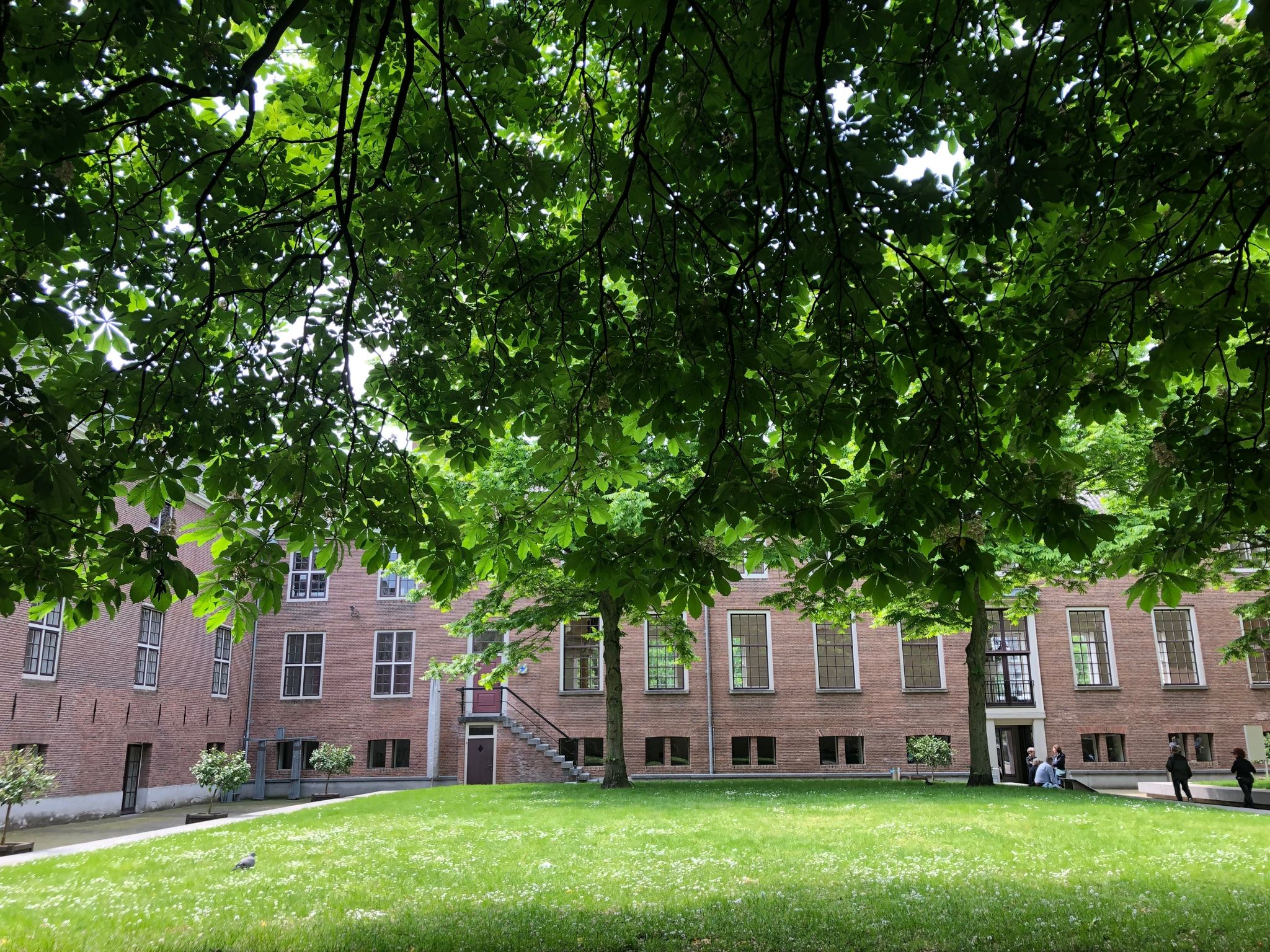 photo of the garden in the Hermitage in Amsterdam, Netherlands.