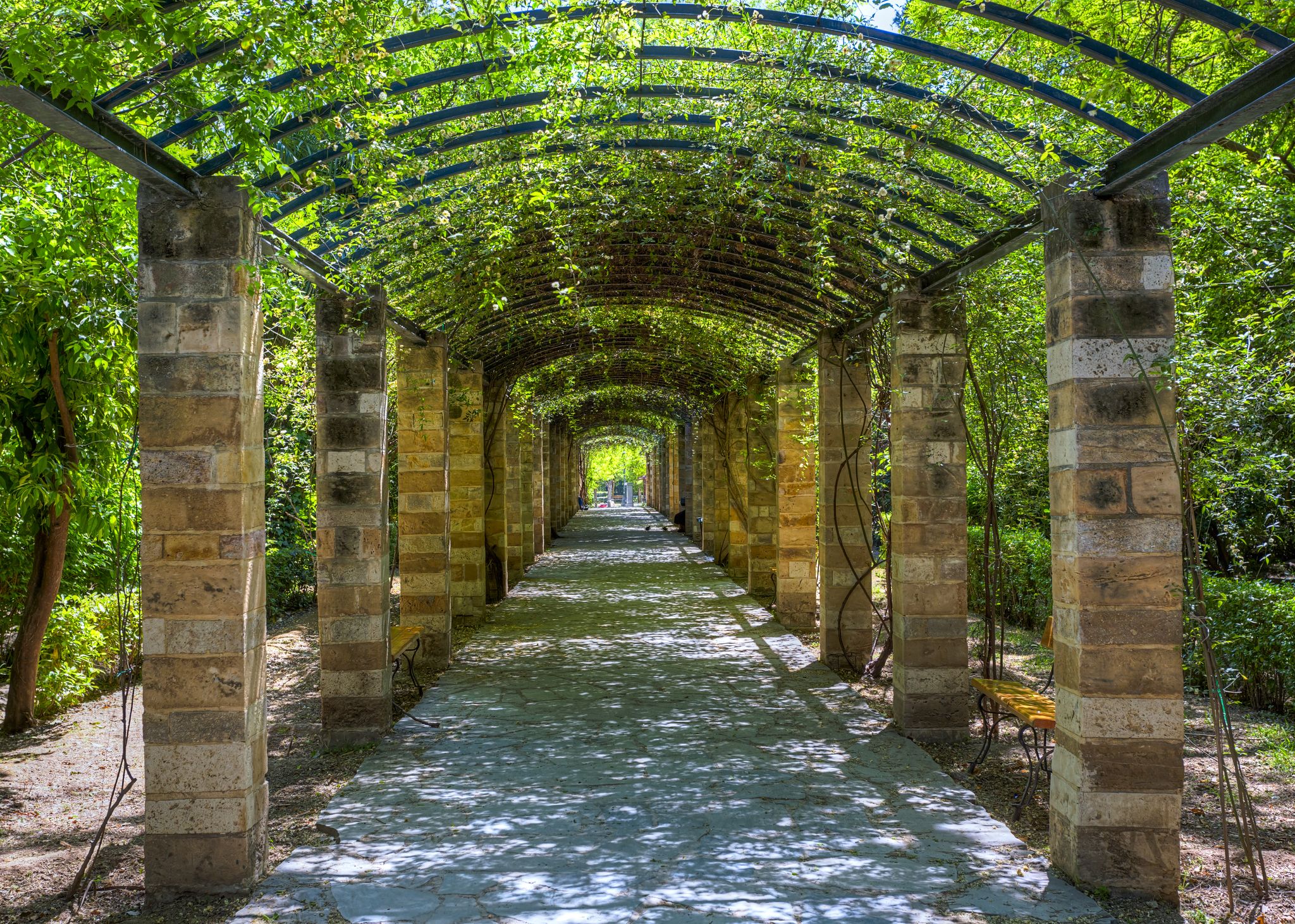 Photo of the National Garden(formerly the Royal Garden) of Athens in Greece.