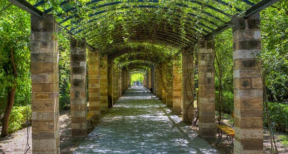 Photo of the National Garden(formerly the Royal Garden) of Athens in Greece.