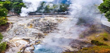 São Miguel: Furnas Volcano & Tea Plantation Tour & Lunch