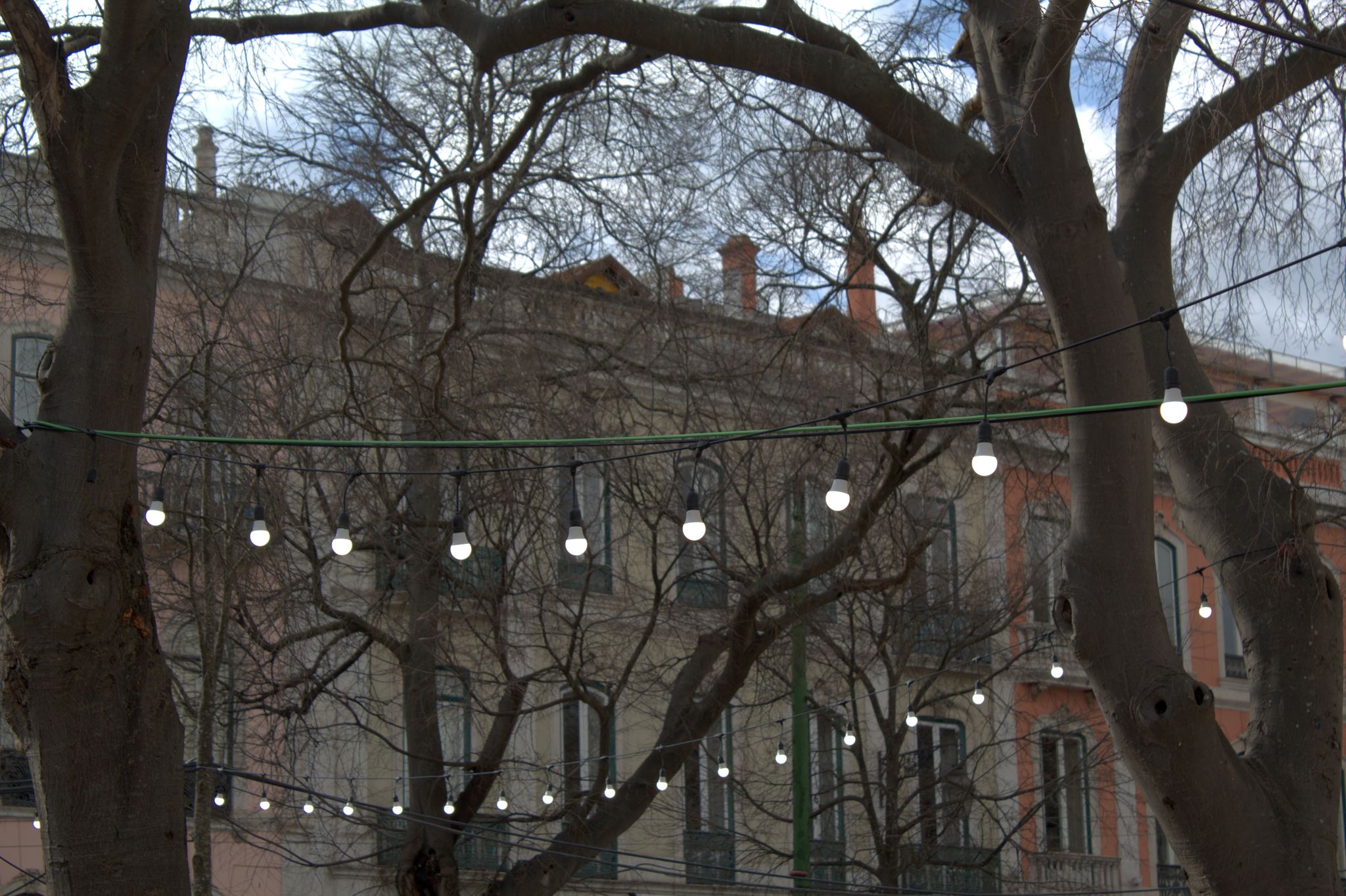 Miradouro de São Pedro de Alcântara in Lisbon