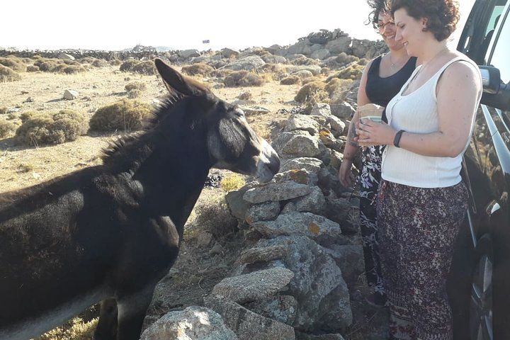 Small-Group Half-Day Tour in Mykonos