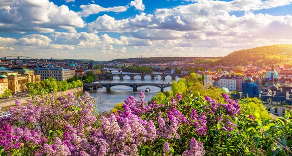 Photo of amazing spring cityscape, Vltava river and old city center with colorful lilac blooming in Letna park, Prague, Czechia.