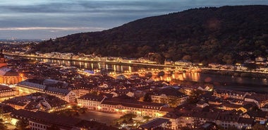 Heidelberg Castle and Old Town Tour from Frankfurt