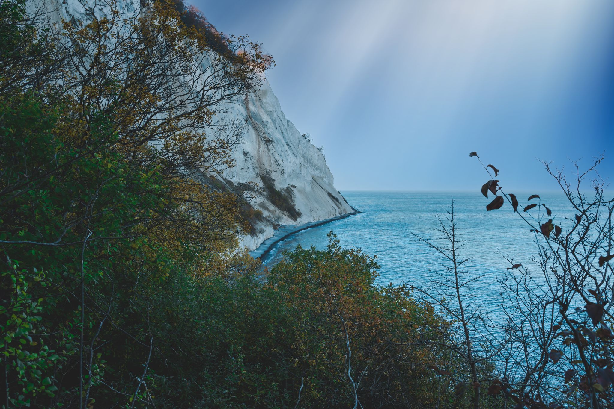 Photo of Steep chalk cliffs going straight into an azure blue ocean for below at the famous Møns Klint in Denmark.