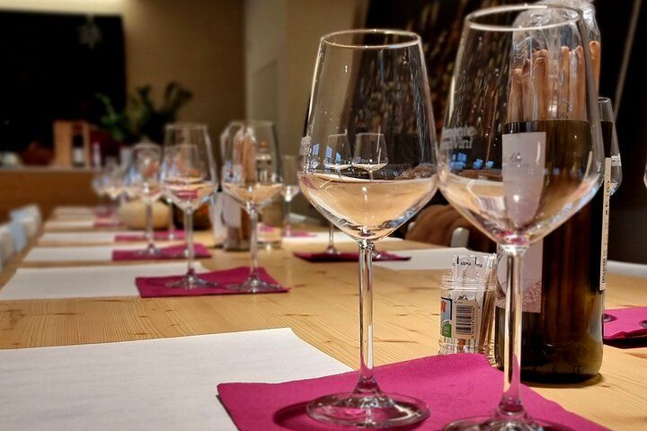 Piedmont Wine Tasting Experience in Turin