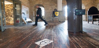 Annual Admission Newcastle Castle Ticket